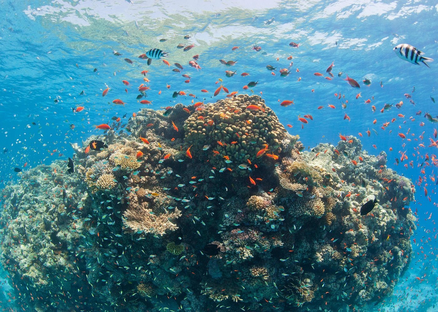 hashtag tour gallery Image